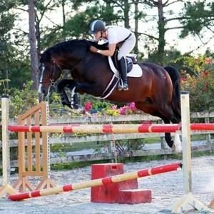 Meet your Posher, Patricia